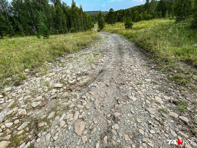 Вскоре дорога заметно улучшилась. Меня охватил приступ даосизма: в конце концов, не так важно, куда идти, пока есть путь и есть Маяк (пусть даже это какая-то неведомая гора). Я получил именно то, что хотел: природа, мошки и ни души | Источник: Артем Краснов