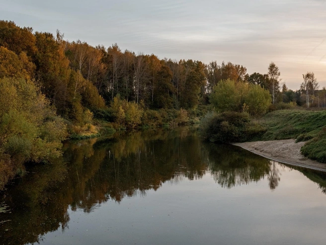 Краски заката дополняют яркую осеннюю палитру | Источник: Александр Куренной / 76.RU
