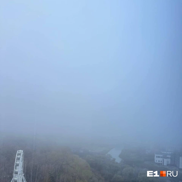 Источник: Читатель E1.RU