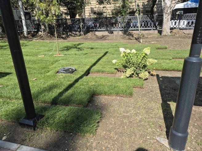 Полив и газон тоже пока ещё не готовы | Источник: Ирина Яковлева / V1.RU