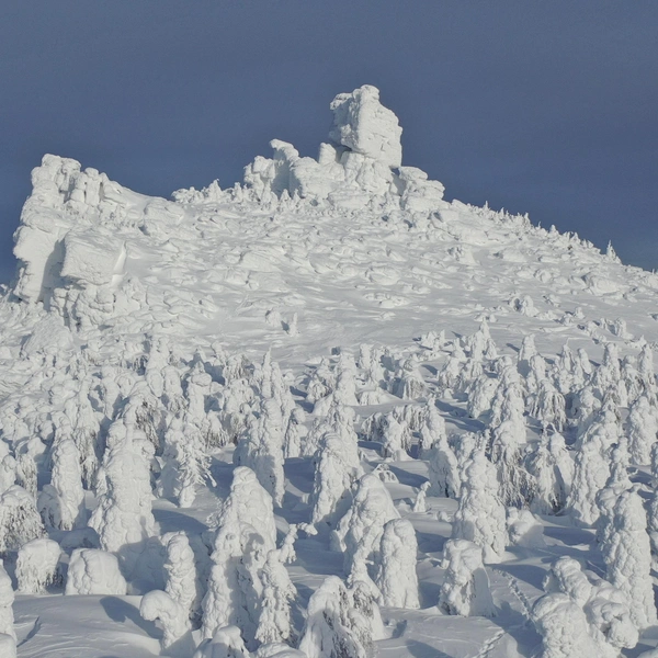 А еще вот так | Источник: Максим Кудряшов