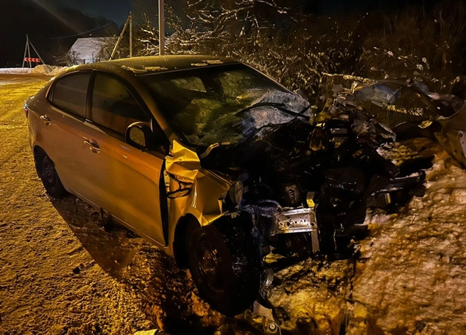 В ДТП под Рязанью пострадали двое взрослых и двое детей | ya62.ru
