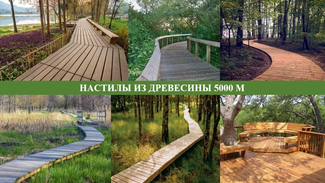 Источник: проект развития территории этно-археопарка «Сухотино»