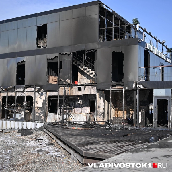 Источник: Елена Буйвол / VLADIVOSTOK1.RU