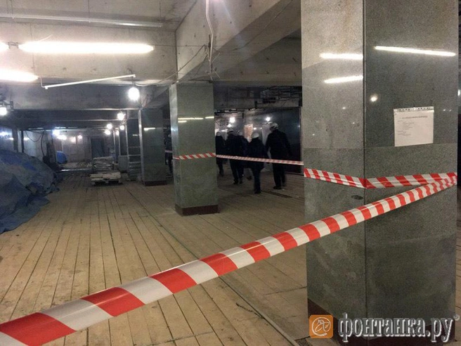 Источник: Михаил Грачев/"Фонтанка.ру"