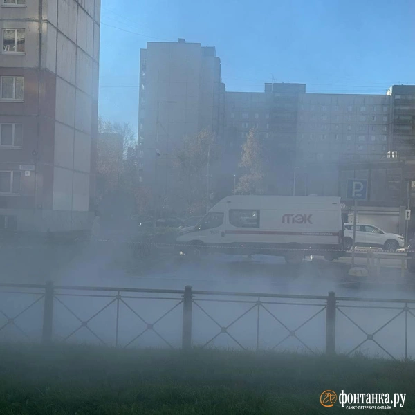 Источник: Ирина Лысак / FONTANKA.RU