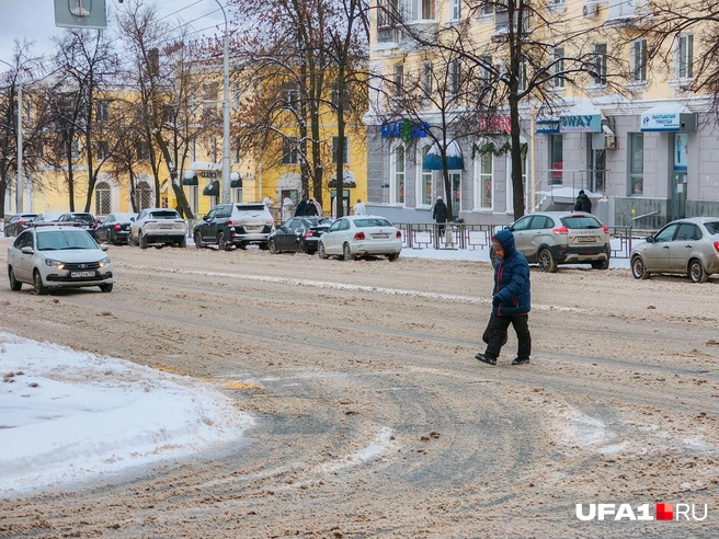 Даже зебру засыпало | Источник: Булат Салихов / UFA1.RU