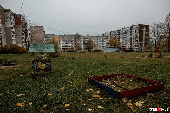 Какой сейчас год?  | Источник: Александр Куренной / 76.RU