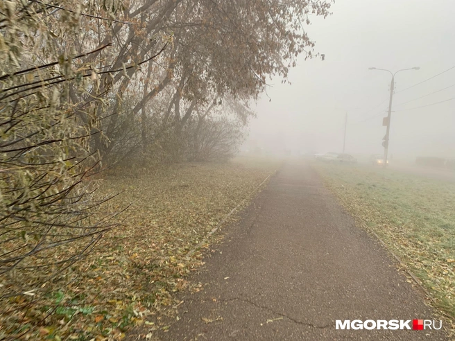 Сложнее всего обстановка на дорогах | Источник: читатель MGORSK.RU