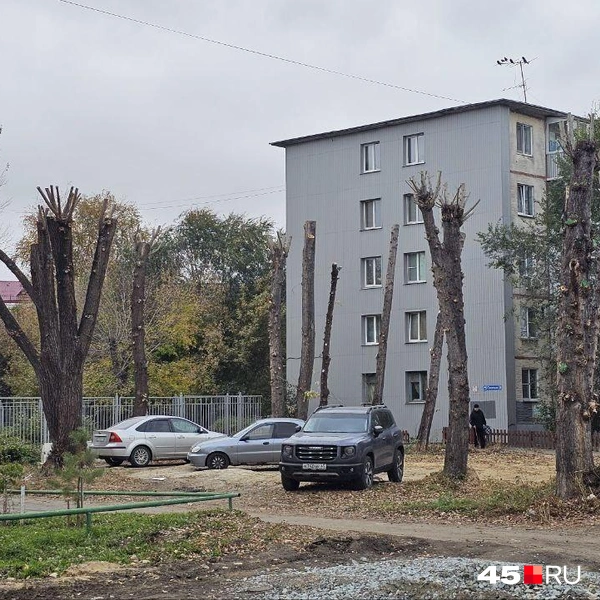 Источник: Дарья Никитченко
