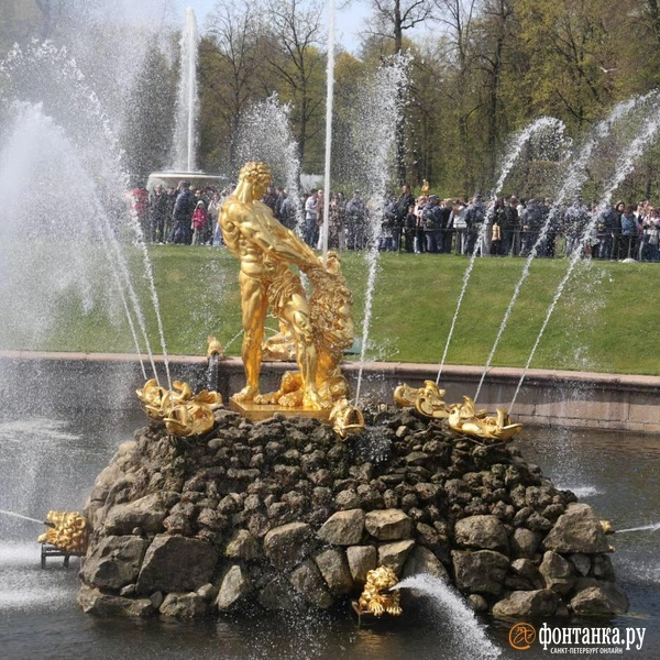 Источник: Валентин Егоршин / «Фонтанка.ру»