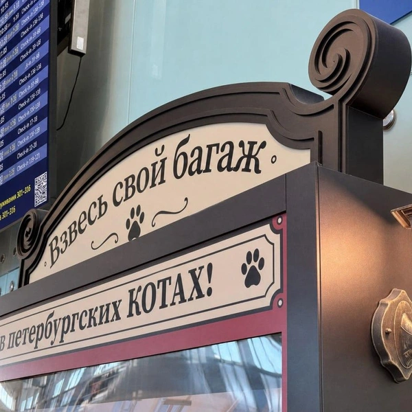 Источник: аэропорт Пулково
