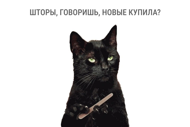 Когтеточка в квартире стоит просто для красоты | Источник: Мария Романова / Городские медиа