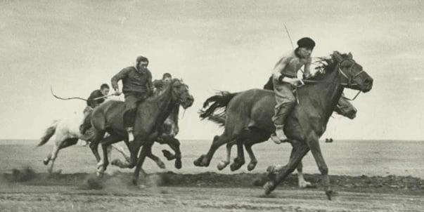 Конные скачки, 1950 год | Источник: culture.ru