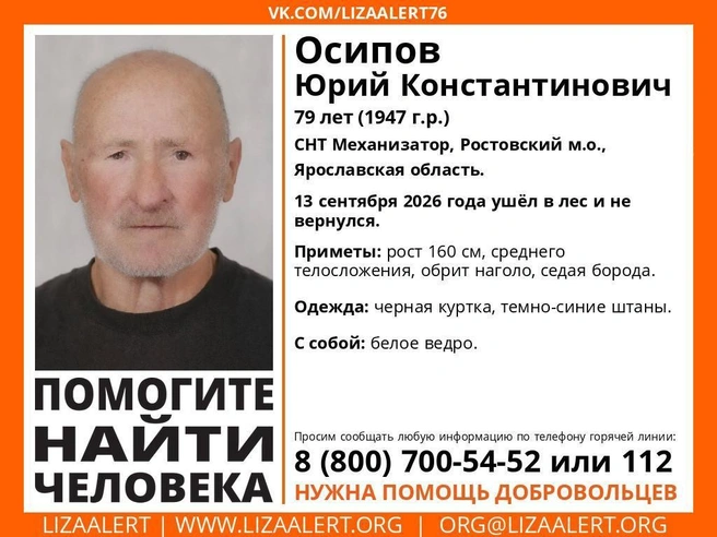 Пенсионер ушел по грибы без еды и воды | Источник: Поисковый отряд «ЛизаАлерт» Ярославской области / Vk.com