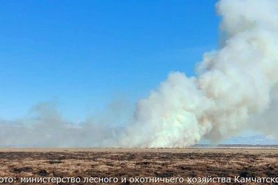Лесной пожар под Тигилем полностью ликвидирован