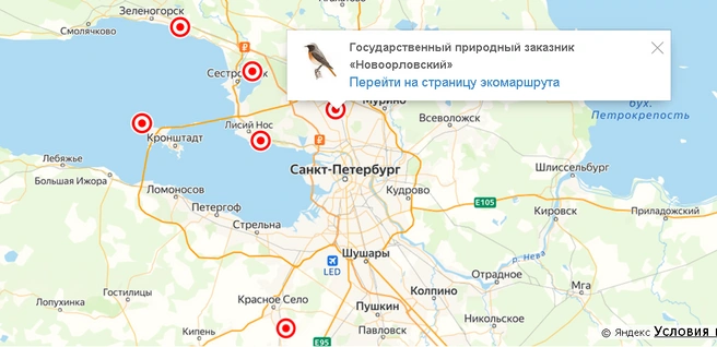 Карта экотроп Петербурга | Источник: oopt.spb.ru