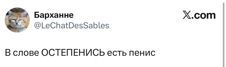 Источник: X (Twitter)