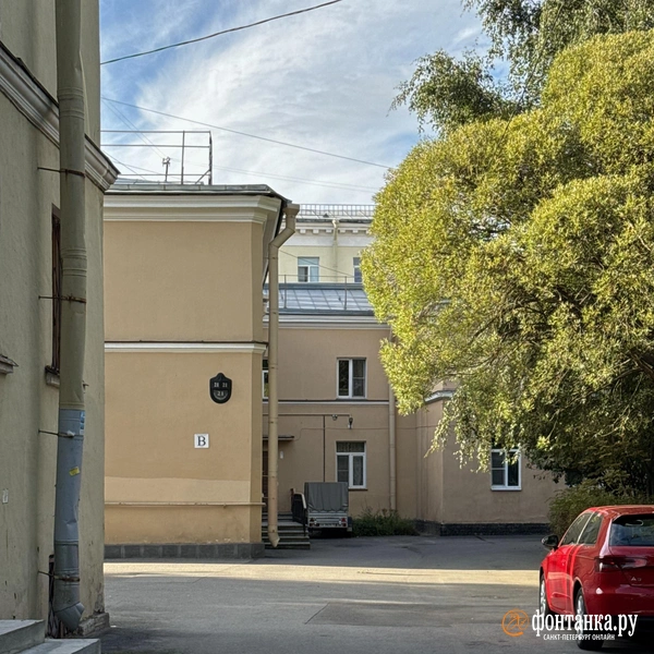 Источник: Елена Николаева