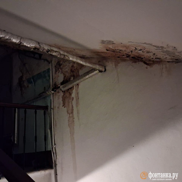 Источник: Анна Мотовилова / «Фонтанка.ру»