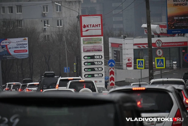 Источник: Елена Буйвол / VLADIVOSTOK1.RU