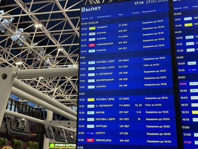 Онлайн-табло показывает сплошные задержки рейсов | Источник: читатель E1.RU