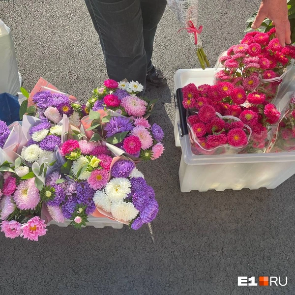 Источник: Софья Кузьмина / E1.RU