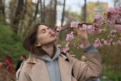 Москвичи толпами идут в Аптекарский огород на цветение сакуры