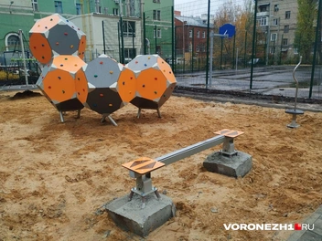 Источник: Дмитрий Волгин / Voronezh1.ru