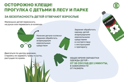 Снижение обращений по укусам клещей в Ивановской области