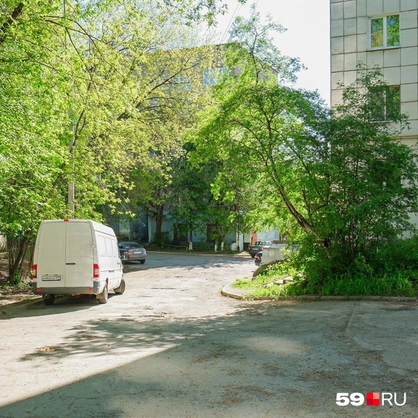 Дорога, которая ведет к домам рядом с логом | Источник: Тимофей Калмаков / 59.RU