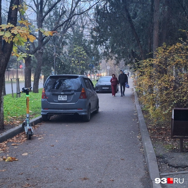 Это официально «велодорожка» | Источник: Максим Дмитриев / 93.RU