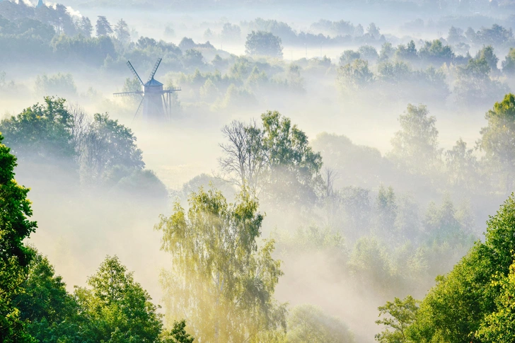 Источник: Shutterstock/Fotodom.ru