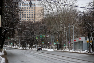 В Нижнем Новгороде назвали сроки возвращения трамваев на Ошарскую улицу