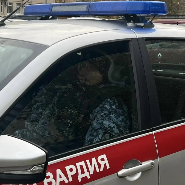 Источник: Росгвардия Петербурга и Ленобласти