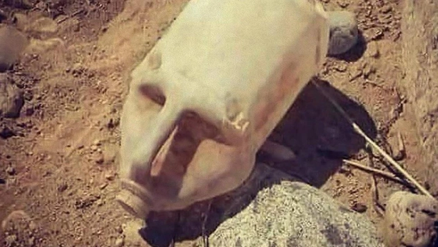 Оптическая иллюзия для любителей археологии