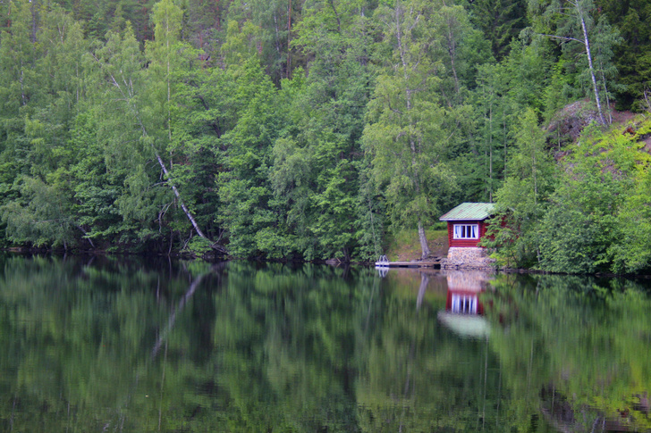 Чистое место: как сауна превратилась в обязательный атрибут финской культуры