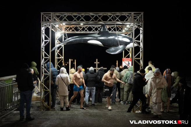 Источник: Елена Буйвол / VLADIVOSTOK1.RU