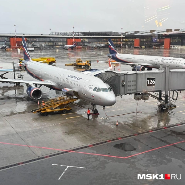 Источник: Читатель MSK1.RU