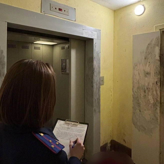 Задержан подозреваемый в расправе над мужчиной, труп которого нашли в лифте в Шушарах | Источник: ГСУ СК РФ по г. Санкт-Петербургу