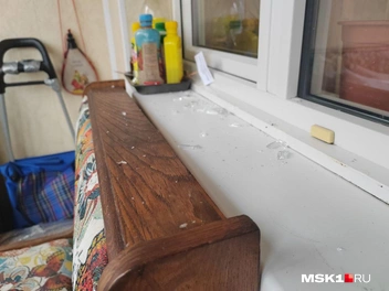 Источник: Михаил Мечев / MSK1.RU