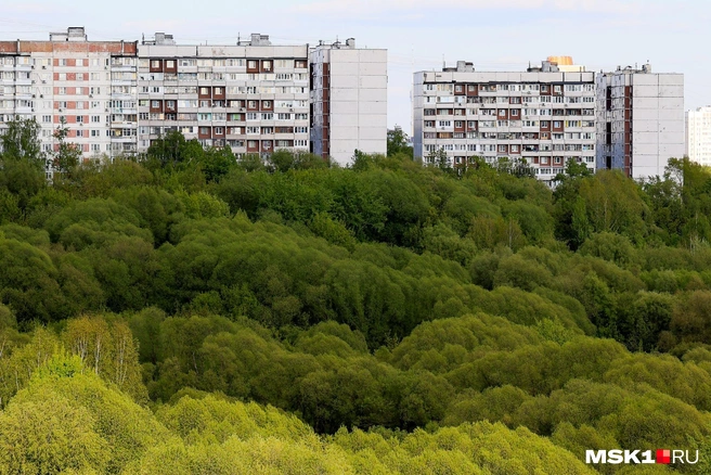 Чем старше дом, тем дешевле стоит квадратный метр квартиры в нем | Источник: Артем Устюжанин / MSK1.RU