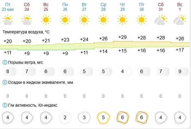 Тут до тридцатки пока не дотянули | Источник: gismeteo.ru