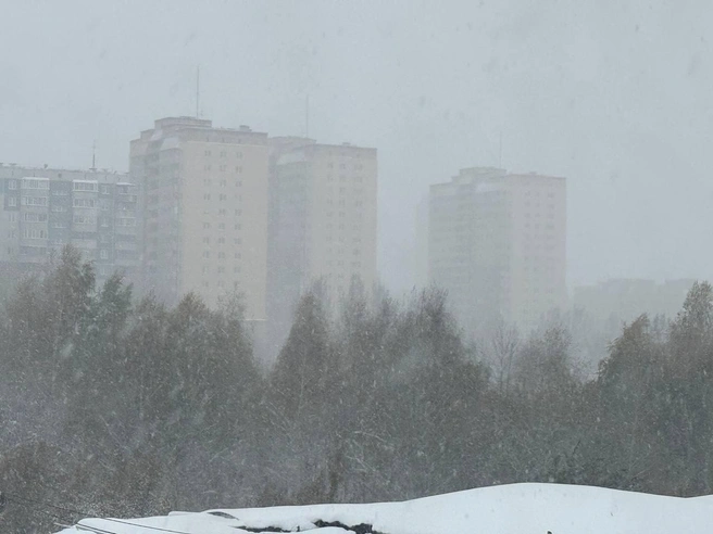 Источник: Марина / Telegram