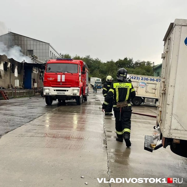 Источник: Елена Буйвол / VLADIVOSTOK1.RU