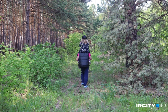 В лесу на острове просторно | Источник: Алёна Кашпарова / «ИрСити»