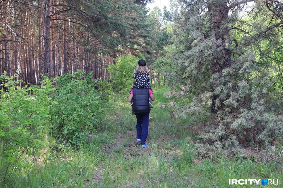 В лесу на острове просторно | Источник: Алёна Кашпарова / IRCITY.RU