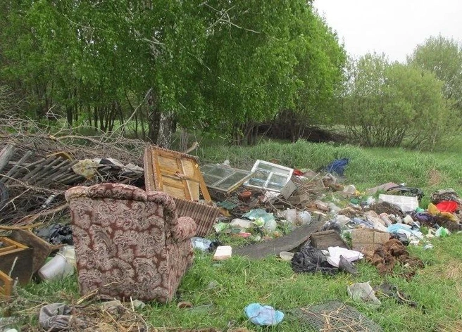 Собственника земля обязали убрать мусор | Источник: Алтайский Россельхознадзор