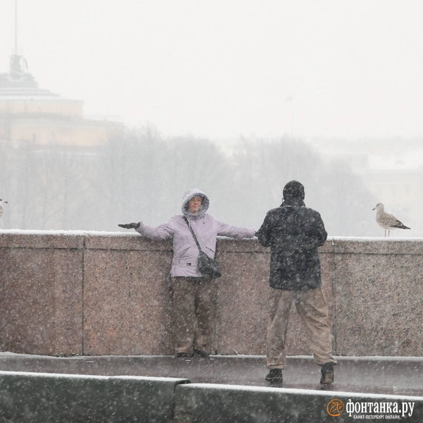 Источник: Сергей Михайличенко / «Фонтанка.ру»