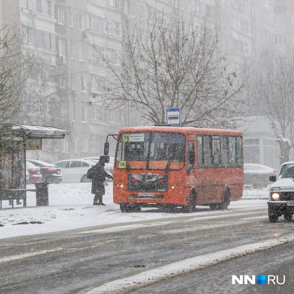 Источник: Наталья Бурухина / NN.RU